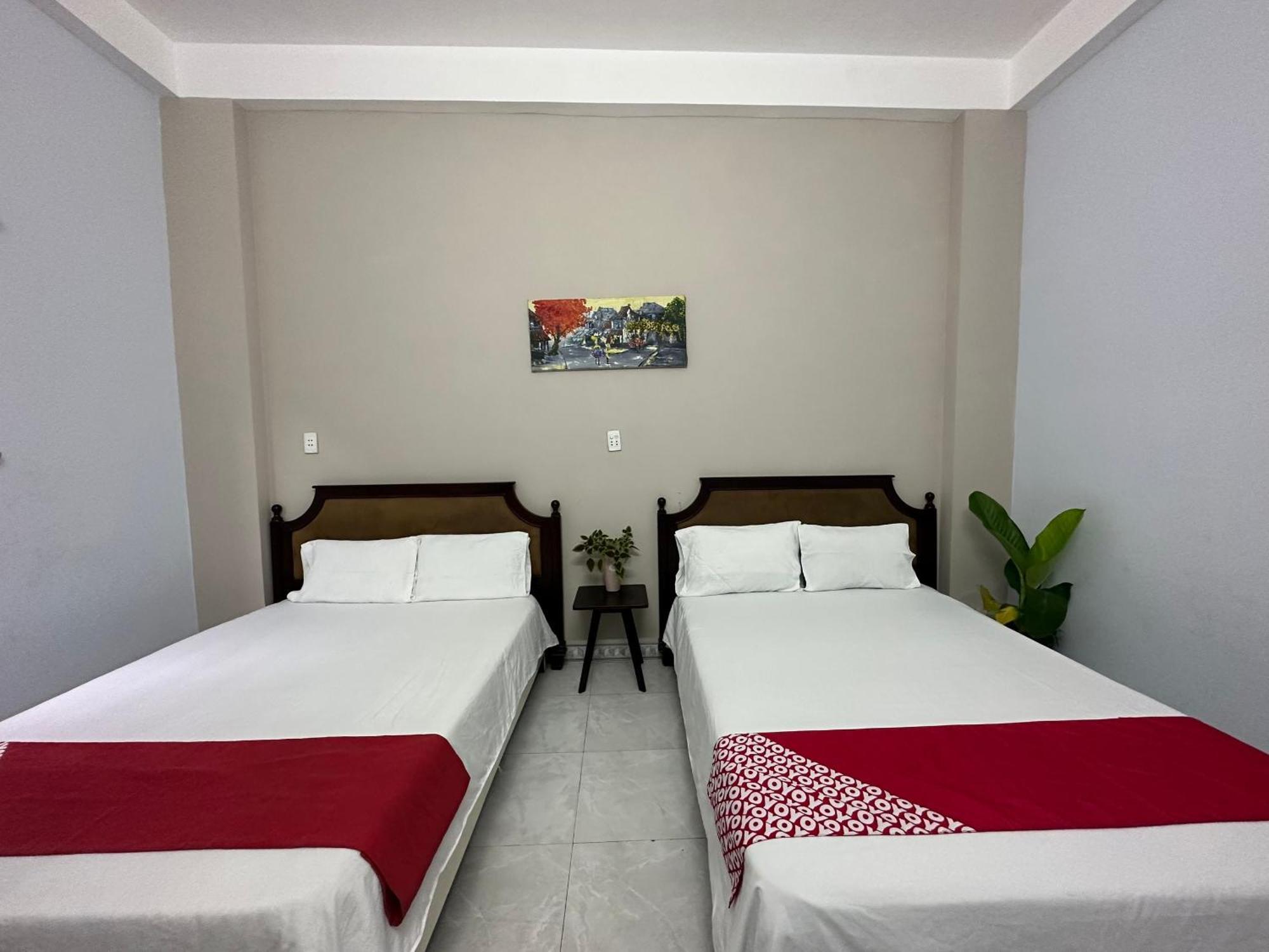Oyo 1187 Suoi Da Motel 岘港 外观 照片