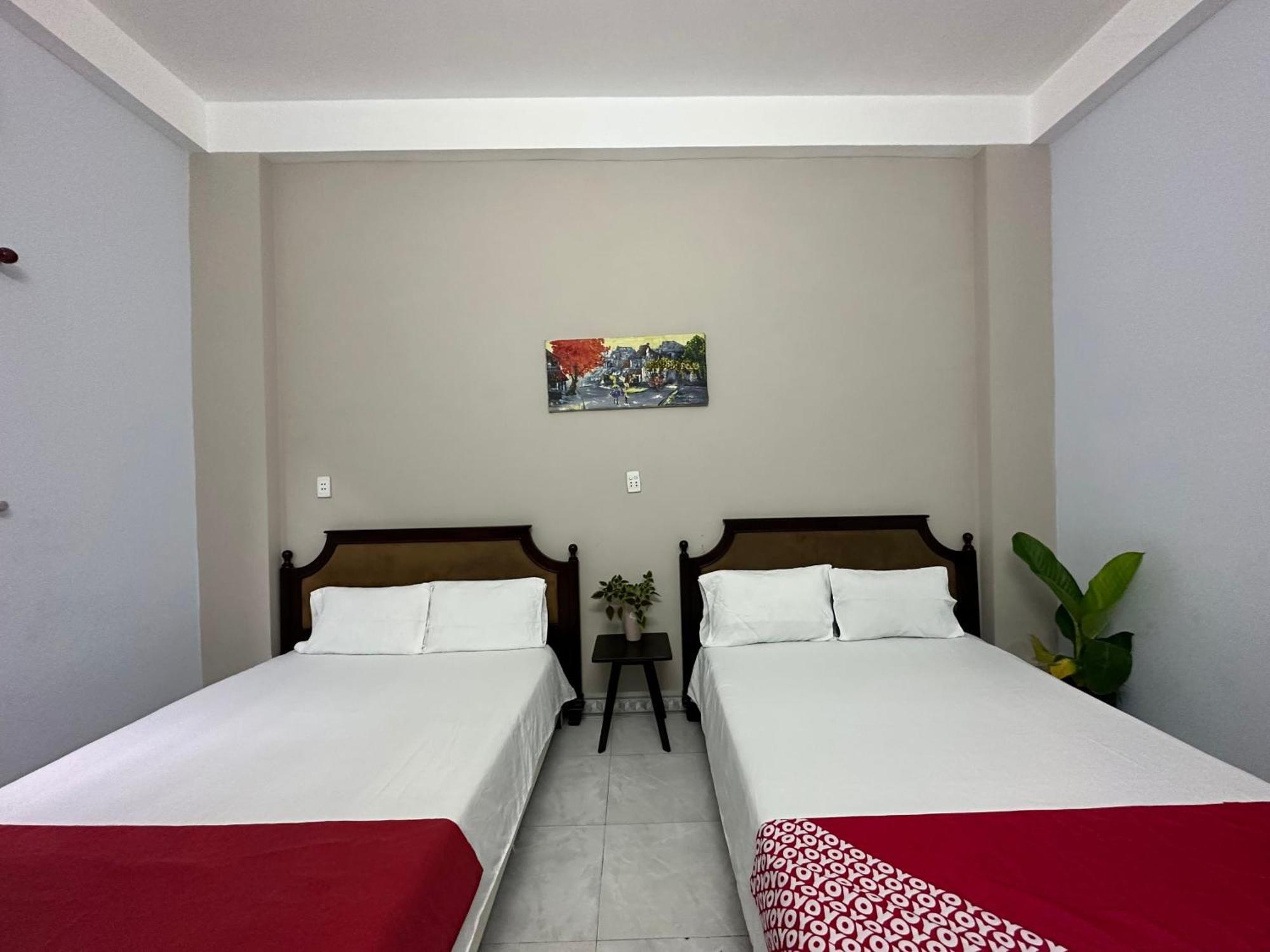 Oyo 1187 Suoi Da Motel 岘港 外观 照片